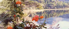 alquilar-depto-bariloche