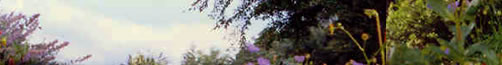 alquilar-depto-bariloche
