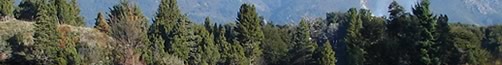 arrendar-depto-bariloche